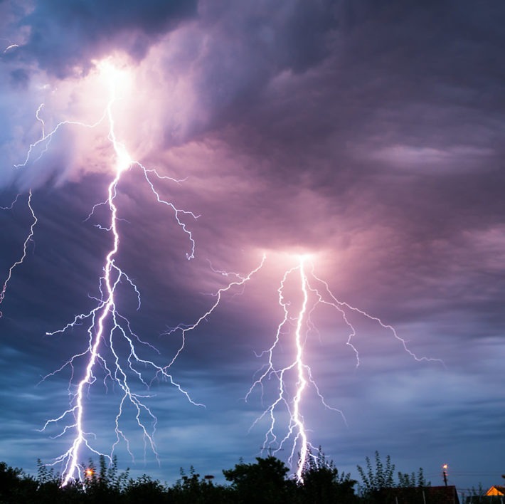 lightning-trees